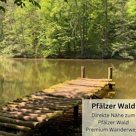 פירמאסנס Psapartment Am Pfaelzer Wald Naehe Outlet Center Zweibruecken מראה חיצוני תמונה