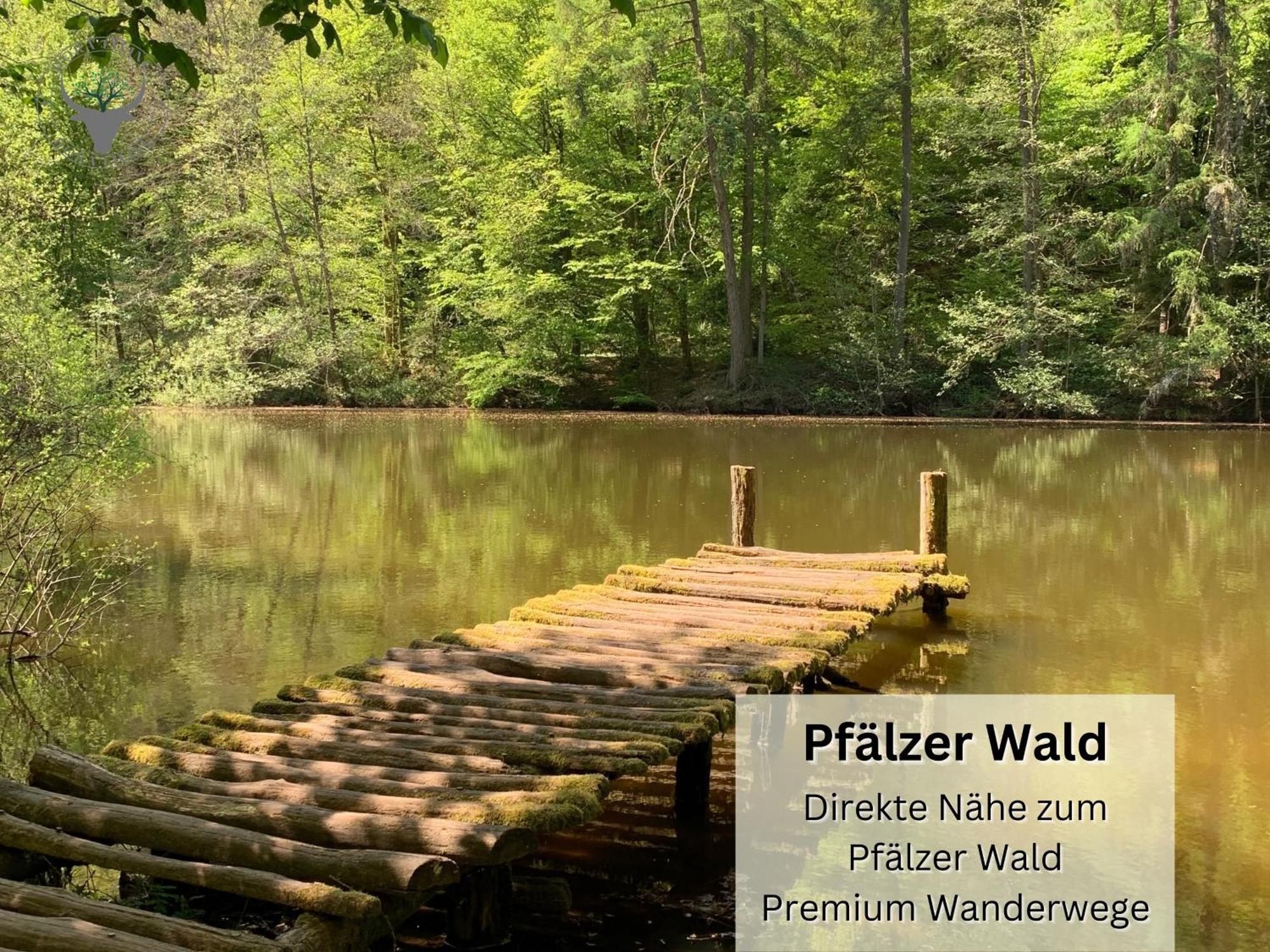 פירמאסנס Psapartment Am Pfaelzer Wald Naehe Outlet Center Zweibruecken מראה חיצוני תמונה